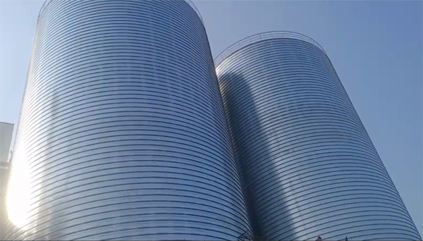 稷山2座混凝土高架卷板仓